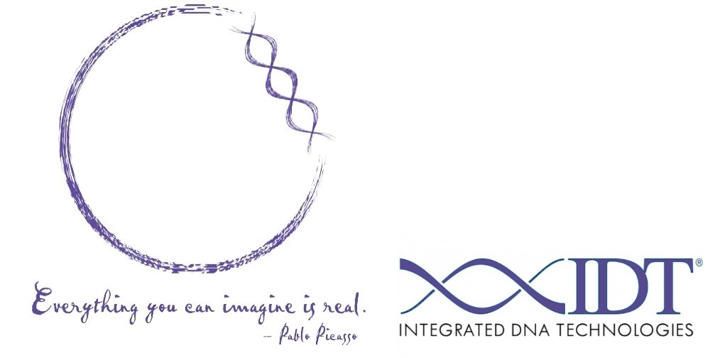 IDT is inspired by Picasso's quote, "Everything you can imagine is real", and they've been kind enough to support our vision with synthesis credits & media coverage!