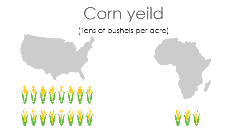 US farmers can grow five times as much corn on the same amount of land as African farmers. 