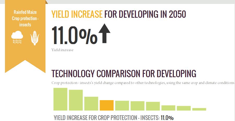 This model, developed by Harvest Choice lets you look at potential yeild increases with various technologies. Insect protection throughout the developing world yeilds an 11% increase.  Compare that to "no-till"(using a method of weed control other than tilling) - that increases yeild by 67%.  Try it yourself  by clicking here. 