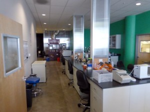 IndieBio Labs