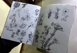 tom sketchbook