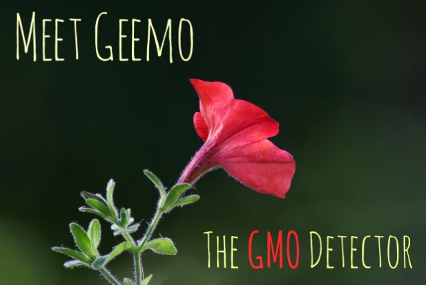 This little flower turns red in the presence of GMOs